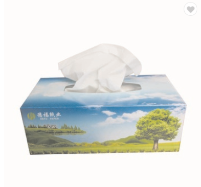 Facial Box Tissue